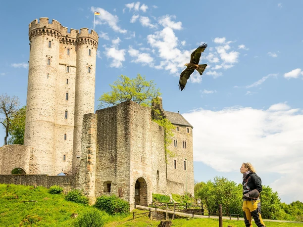 Adler & Wolfspark Kasselburg, Pelm