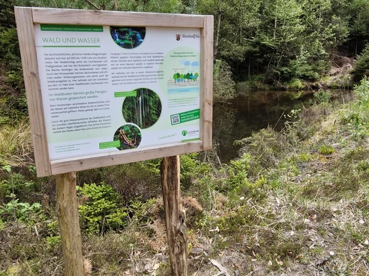 Beurener Waldrund, Beuren/Hochwald, Infotafeln