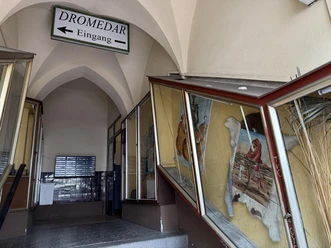 Afrikanisches Restaurant Dromedar in Marburg