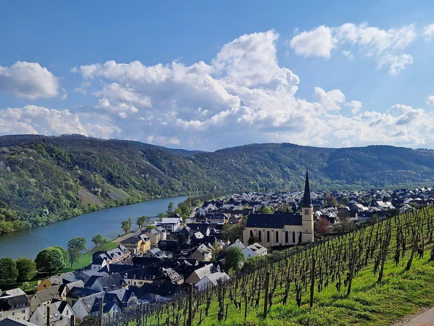 Ausblick auf Kröv Ausblick auf Kröv