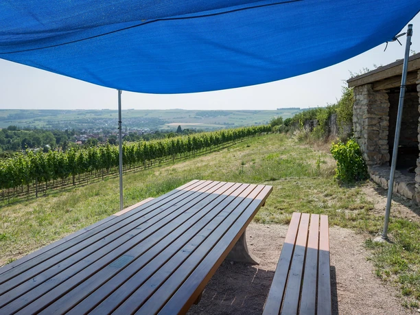 Tisch des Weins