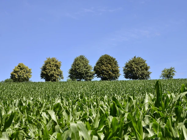 Landschaftsblick