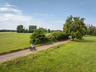 Radtour durch den Bienwald in der Pfälzer Rheinebene