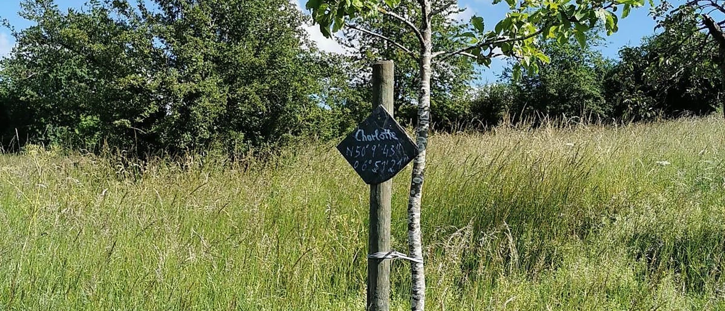 Apfelbaumpatenschaft