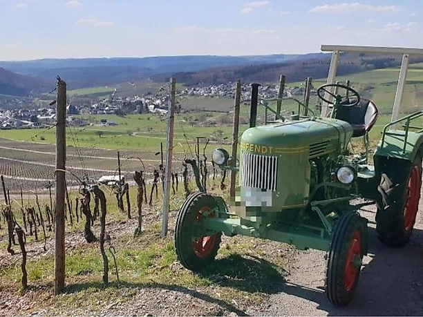 Oldtimer-Traktor (2)