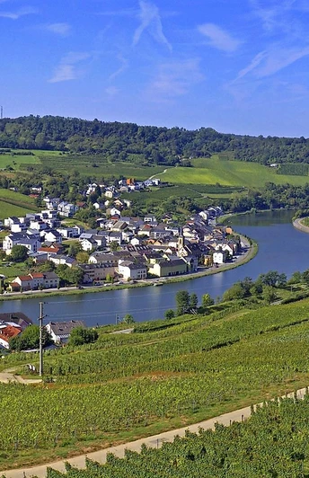 Leuchtpunkt Nitteler Fels (4)