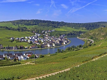 Leuchtpunkt Nitteler Fels (4)