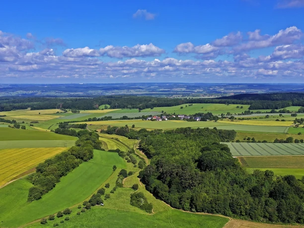 Packeselwanderungen (3) Packeselwanderungen (3)