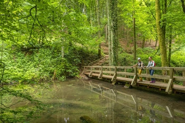 Leukbachtal (1)