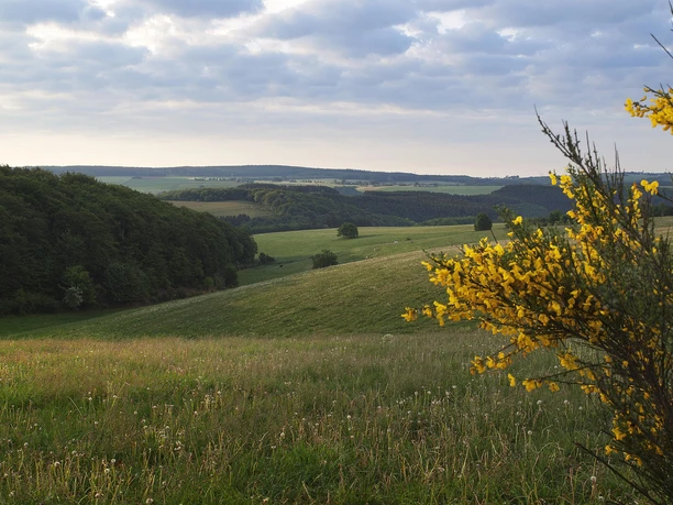 Bleialf Panorama Höhe Riechelberg