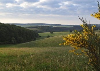 Bleialf Panorama Höhe Riechelberg