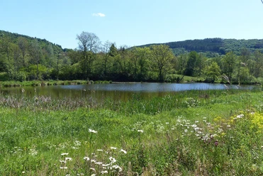 GPS-Tour, Stausee Irsental