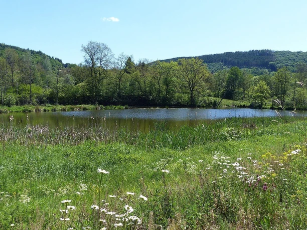 GPS-Tour, Stausee Irsental