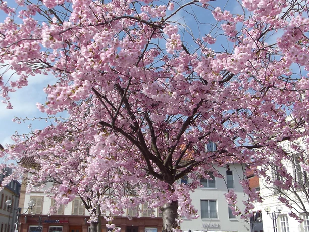 Frühling