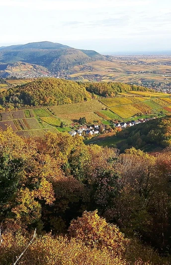 Aussicht von Neukastel über Ranschbach im Herbst