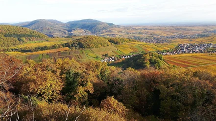 Aussicht von Neukastel über Ranschbach im Herbst