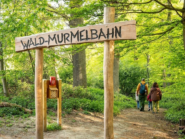 Eingangstor Waldmurmelbahn
