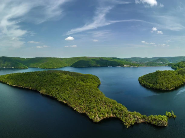 Blick in den Nationalpark Eifel