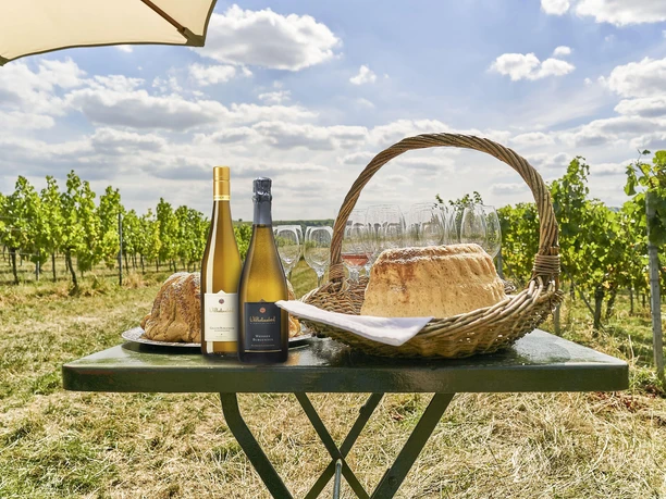 Weinbergwanderung_mit_Pickncik_Bio_Wein_und_Sektgu