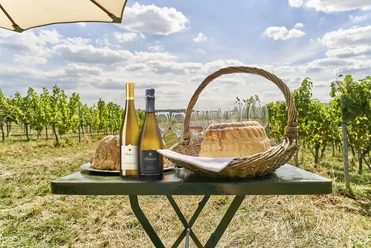 Weinbergwanderung_mit_Pickncik_Bio_Wein_und_Sektgu