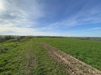 Blick in die Bördelandschaft