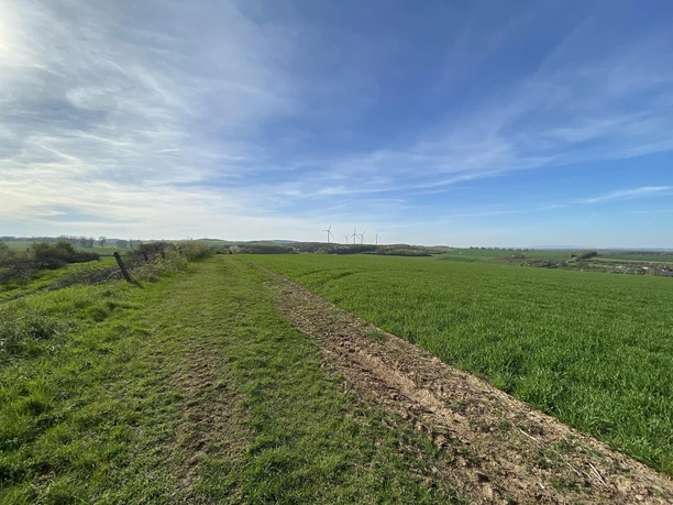 Blick in die Bördelandschaft
