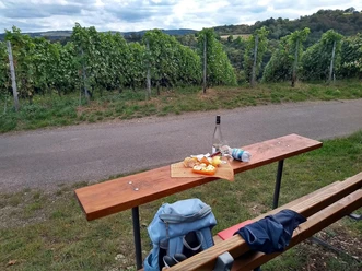 Picknickbank am Weinberg