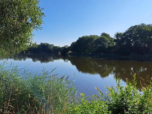 Sterenbachsee in Wittlich