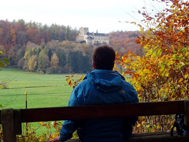 Blick auf die Burg Hohlenfels