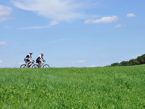 MTB im Sankt Wendeler Land