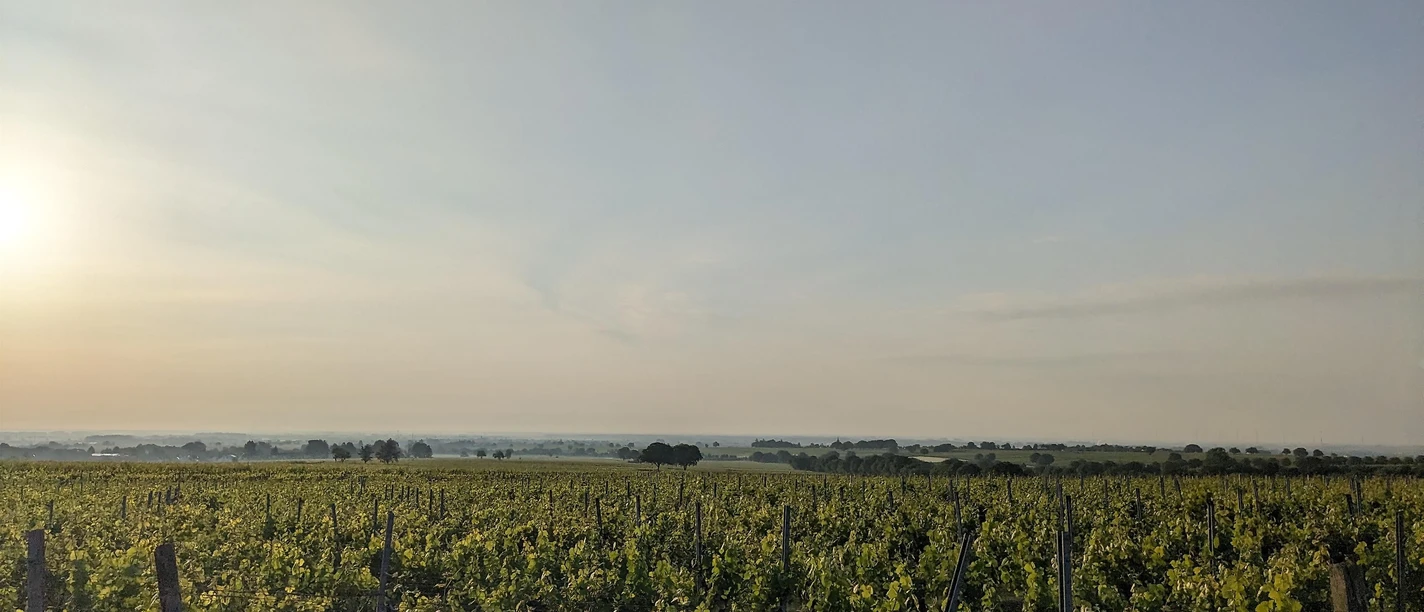 Weinbergslage Zinkelerde
