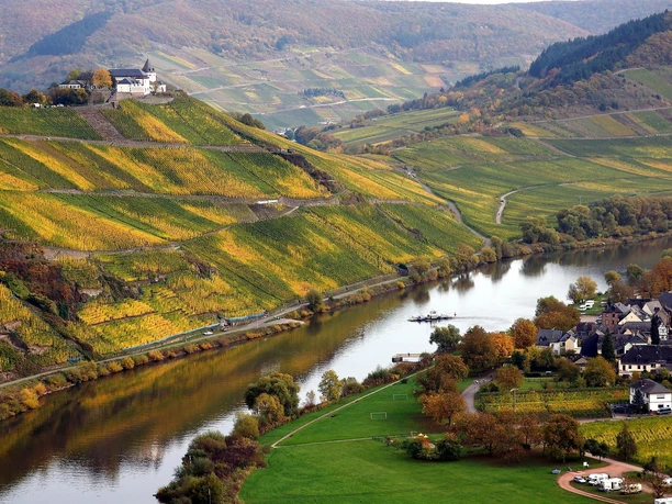 Blick auf Marienburg & Fähre