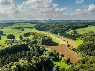 Panorama-Waldbild Prümer Land