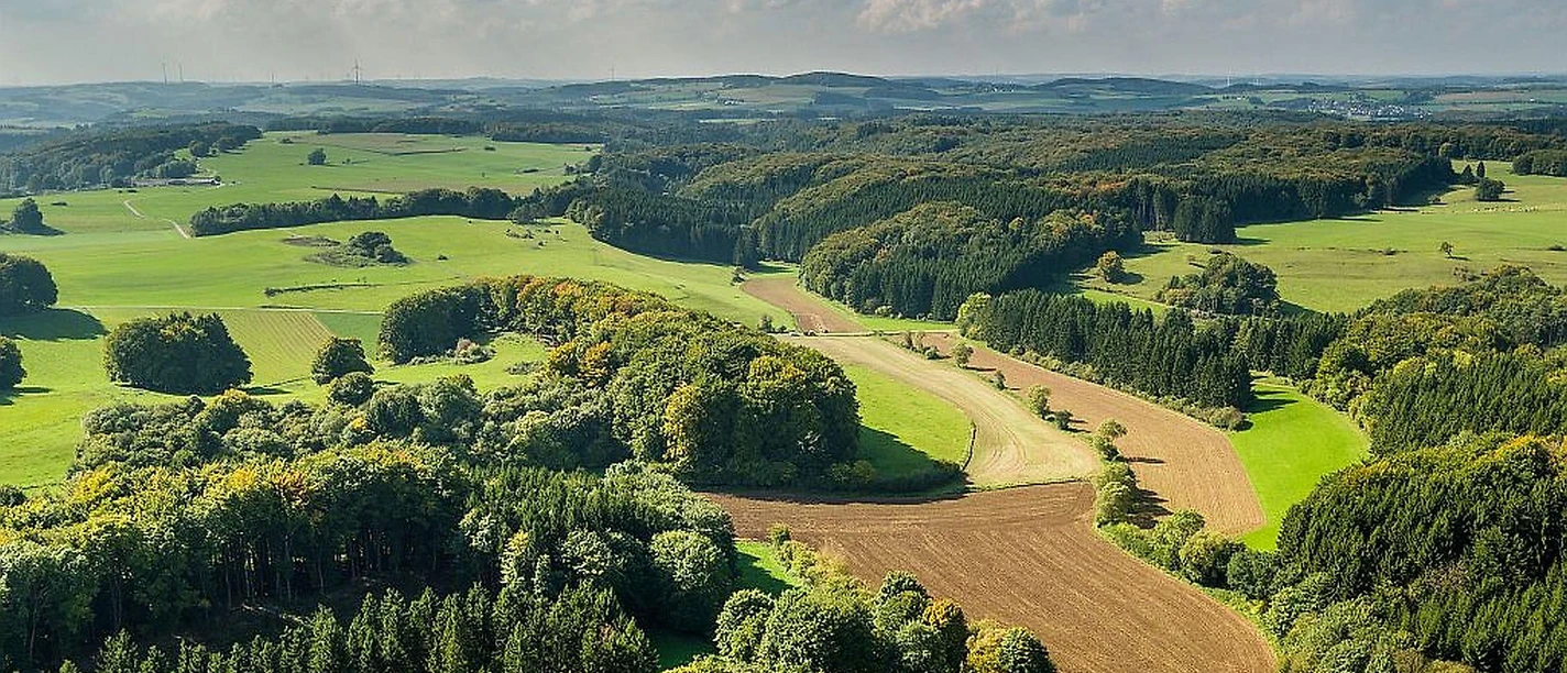 Panorama-Waldbild Prümer Land