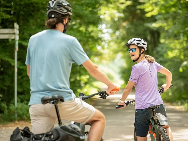 Radfahren durch den Bienwald