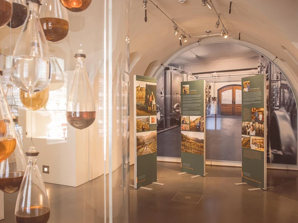Ausstellung WeinReich im Landesmuseum Koblenz Ausstellung WeinReich im Landesmuseum Koblenz
