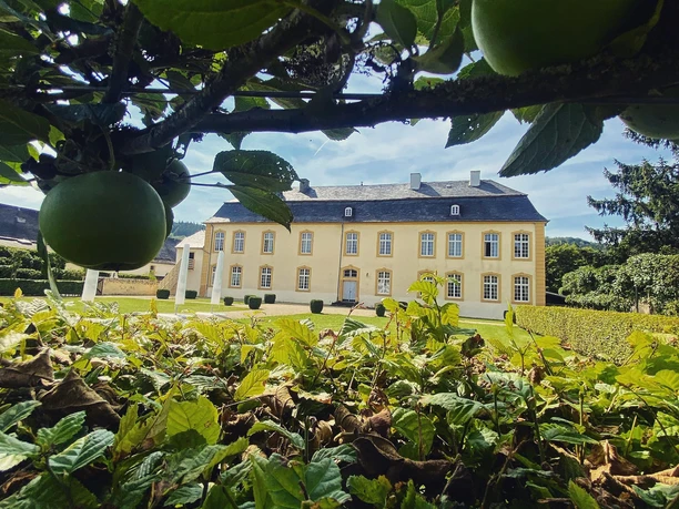 Außenansicht Schloss Niederweis