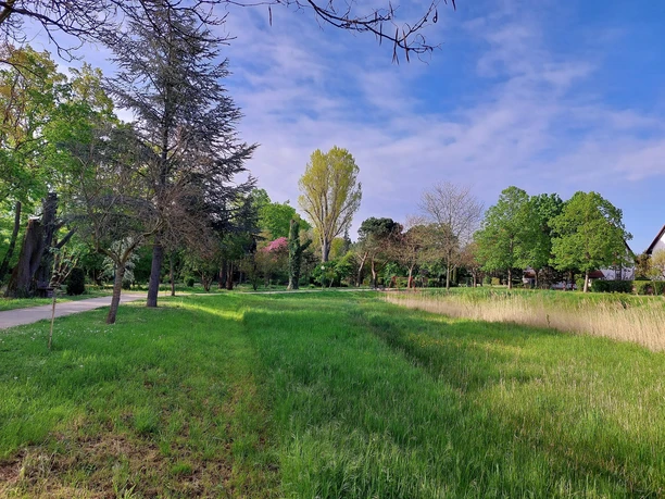 Stadtpark Deidesheim Grünfläche