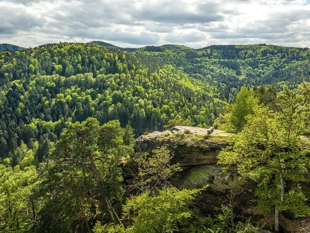Aussichtsfelsen auf dem Beutelsberg