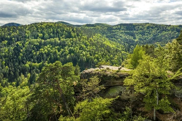 Rastplatz Beutelsberg von oben