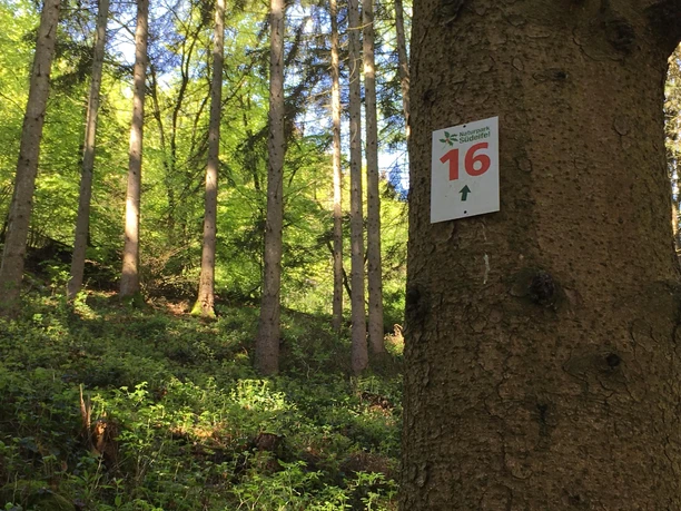 Markierung der Route Stausse Nr. 16