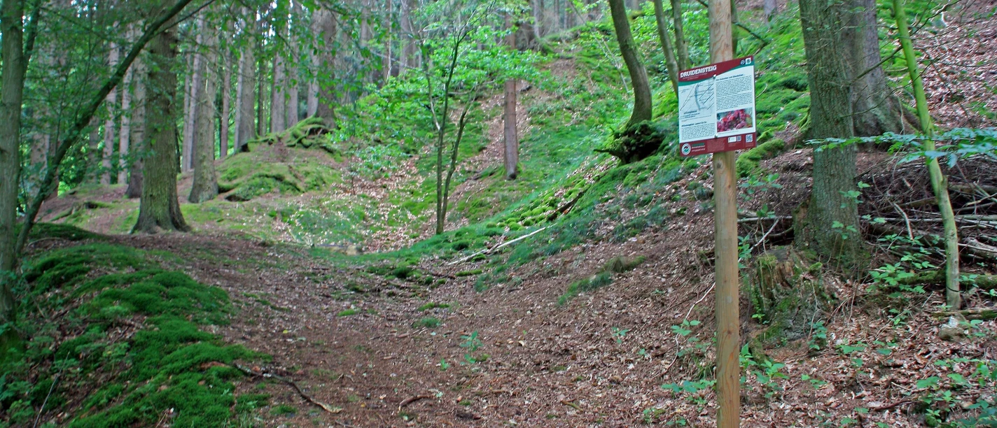 Grubenfeld Wilhelmsglück