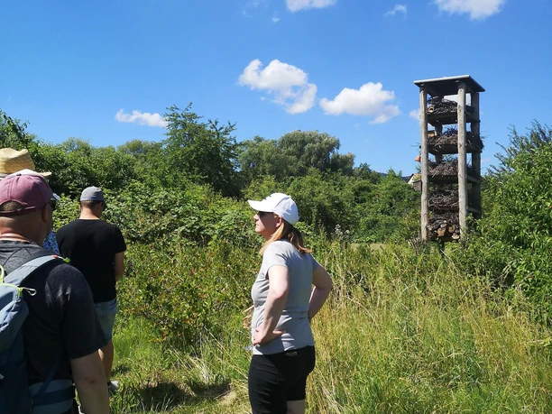 Weinbergwanderung-mit-Picknick-02.07.2022-mit-Lebe