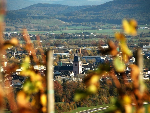 Wittlicher Weinberge mit Blick auf St. Markus