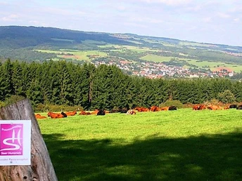 Aussicht auf Primstal