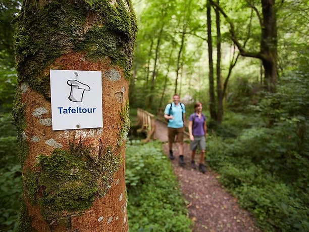 Im Steinbachtal auf der Saarschleife Tafeltour