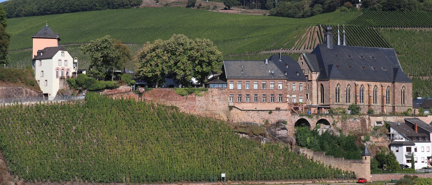 Aussichtspunkt Schleif Saarburg