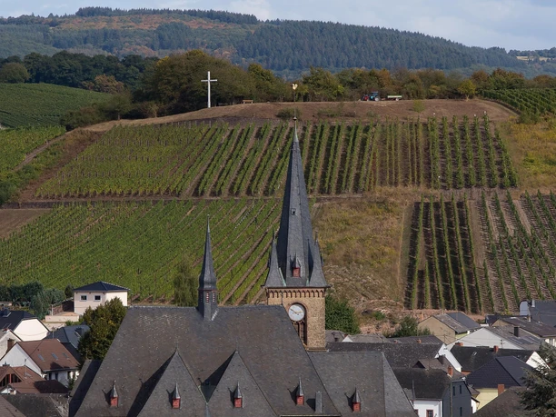 Saardom Wiltingen