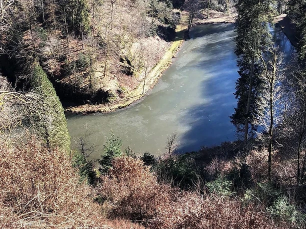 Burgweiher im Frühjahr