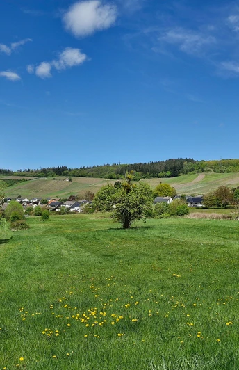 Blick auf Nieder- und Obermennig